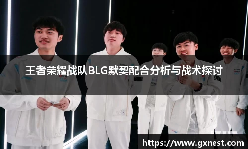 王者荣耀战队BLG默契配合分析与战术探讨