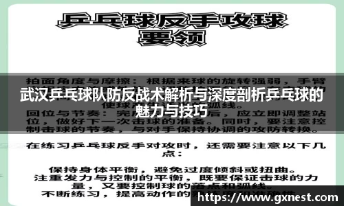 武汉乒乓球队防反战术解析与深度剖析乒乓球的魅力与技巧
