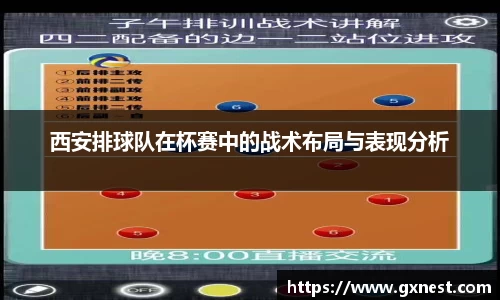 星空dian'j官网入口