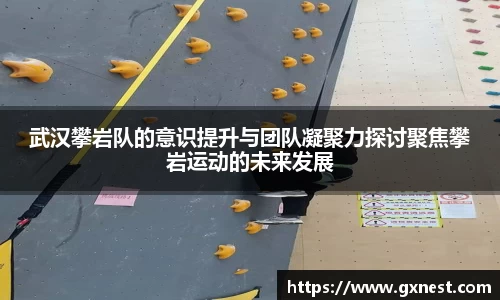 星空dian'j官网入口