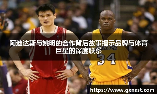 星空dian'j官网入口