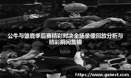 星空dian'j官网入口