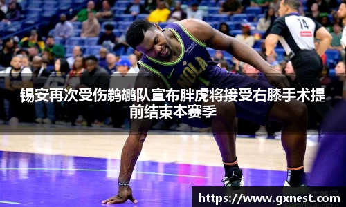 锡安再次受伤鹈鹕队宣布胖虎将接受右膝手术提前结束本赛季