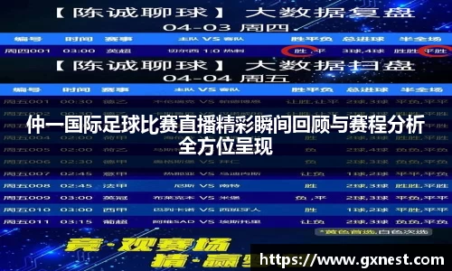 仲一国际足球比赛直播精彩瞬间回顾与赛程分析全方位呈现