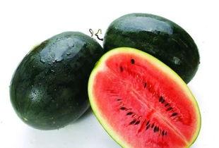 黑瓜吃料正能量155